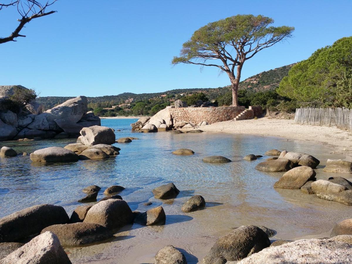 Residence Liccia Di Furu Porto-Vecchio  Zewnętrze zdjęcie