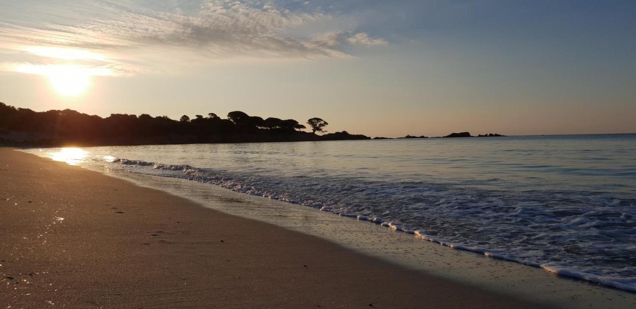 Residence Liccia Di Furu Porto-Vecchio  Zewnętrze zdjęcie